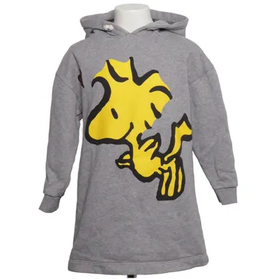 Hoodie (Gray, Yellow) from Zara Kids Cotton