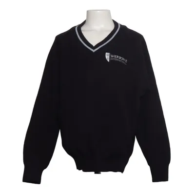 Pullover (Blue) from Beau Brummel Acrylic
