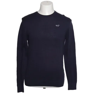 Sweater (Blue) from Hollister
