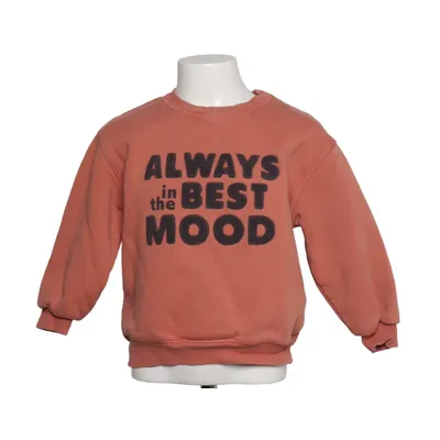 Sweatshirt (Brown) from Zara Bamboo, Cotton