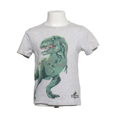 T-shirt (Grå, Grön) från H&M Bomull, Viskos
