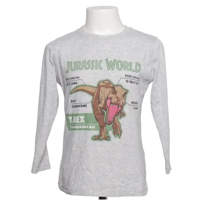 Long sleeve T-shirt (Gray, Multicolored) from Jurassic World