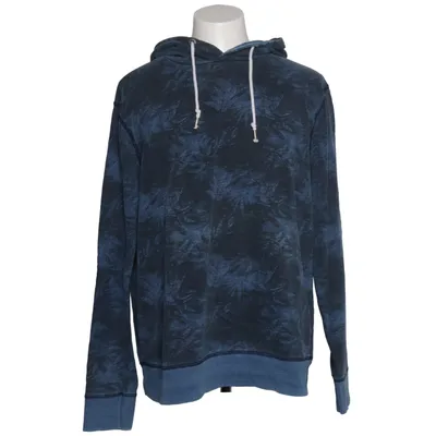 Hoodie (Blue, Gray) from Petrol Industries Cotton