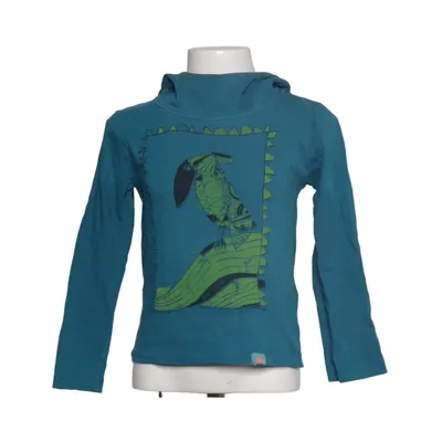 Sweat à capuche (Bleu, Vert) de Chapati Design Coton biologique