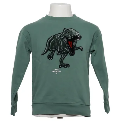 Sweatshirt (250087620) from STC Cotton