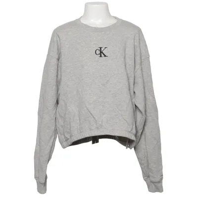Sweatshirt (Gray) from Calvin Klein Jeans Cotton