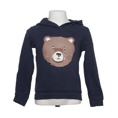 Sweat à capuche (Bleu) de Wildlife Coton biologique