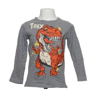 Långärmad t-shirt (Grå, Flerfärgad) från Kids Tales