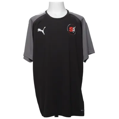 Football jersey (Black, Gray) from Puma Polyester