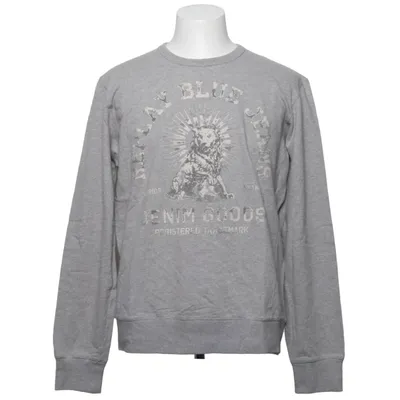 Sweatshirt (Grau) von Replay Baumwolle