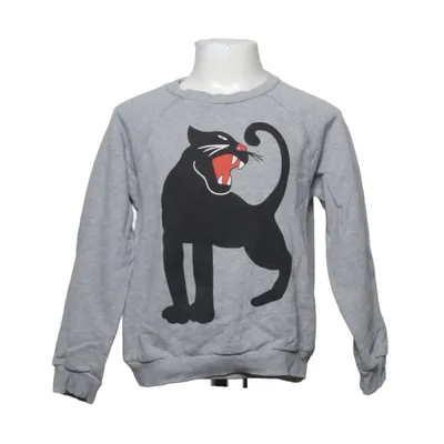 Sweatshirt (Gray) from Mini Rodini Cotton