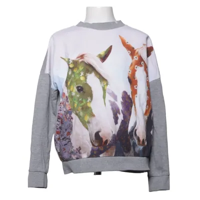 Sweatshirt (Gray, Multicolored) from Molo Cotton