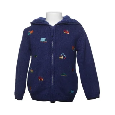 Hoodie (Blue, Multicolored) from Nutmeg Acrylic, Polyester