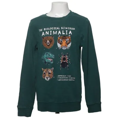 Sweatshirt (Vert, Multicolore) de Kelzuki x H&M Coton, Polyester