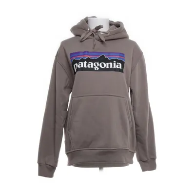 Capuchon sweater (Beige) van Patagonia
