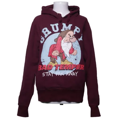 Hoodie (Grumpy) from Disneyland Paris Cotton, Polyester
