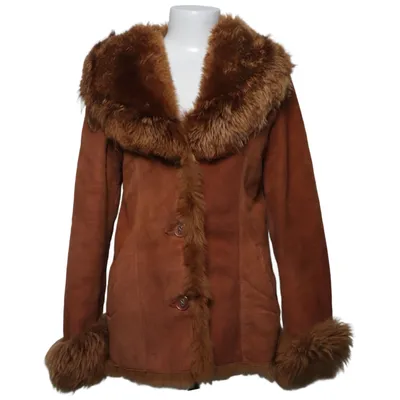 Shearling jacket (Brown) from Zara Leather Collection