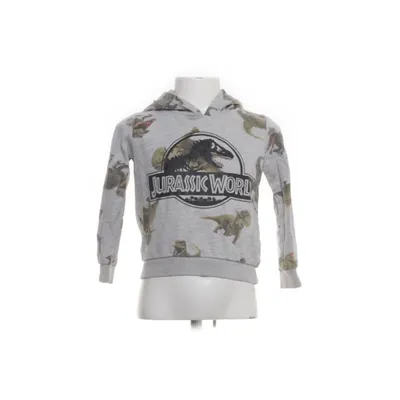 Hættetrøje (Grå, Grøn, Sort) fra Jurassic World Bomuld, Viscose