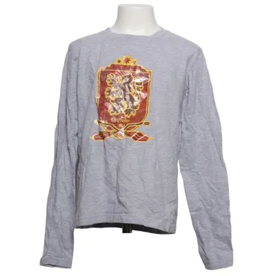 Long sleeve T-shirt (Gray) from Harry Potter Cotton, Polyester