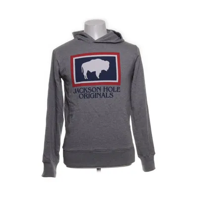 Sweat à capuche (Gris) de Jackson Hole Coton biologique