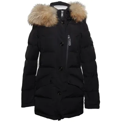 Down coat (Black) from Hollies Cotton, Down, Elastane, Feather, Polyester