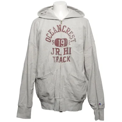 Hoodie (Gray) from Champion