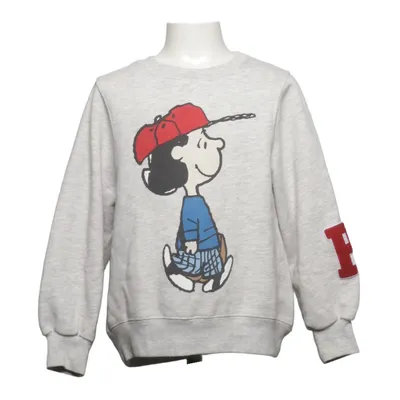 Sweatshirt (Grijs, Meerkleurig) van Zara x Peanuts