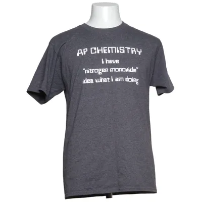 T-shirt (Gray) from Hanes Cotton, Polyester