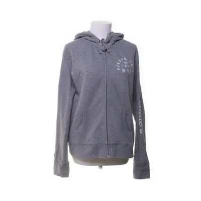 Hoodie (Gray) from Aéropostale Cotton, Polyester