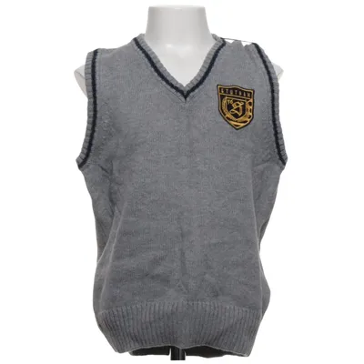 Slipover (Grå) från L.O.G.G by H&M Bomull