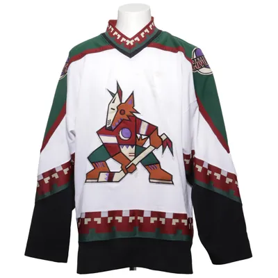 Hockey jersey (White, Multicolored) from Starter