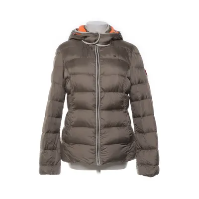 Down jacket (Brown) from Hilfiger Collection Down, Feather, Nylon, Polyester