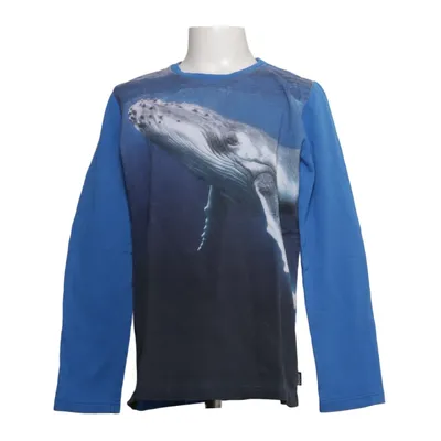 Sweatshirt (Blå, Grå) fra Jako-O Bomuld