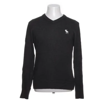 Trui (Grijs) van Abercrombie & Fitch