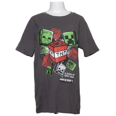 T-shirt (Grå, Flerfärgad) från Minecraft Bomull