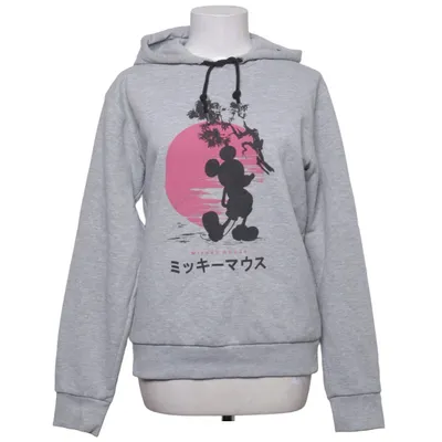 Hoodie (Gray) from Disney