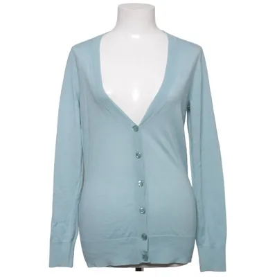 Cardigan (Blue) from Ann Taylor Merino wool