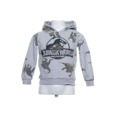 Hættetrøje (Grå, Flerfarvet) fra Jurassic World Bomuld, Viscose