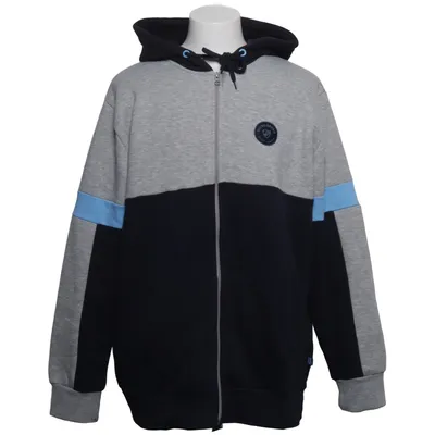 Hoodie (Blue, Gray) from Djurgården