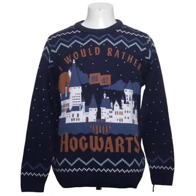 Kersttrui (Blauw, Meerkleurig) van Harry Potter Acryl
