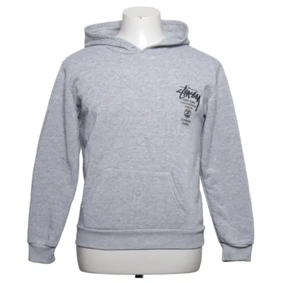 Capuchon sweater (Grijs) van Stüssy