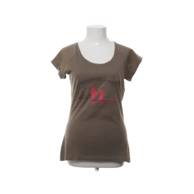 Top (Bruin) van Kilimanjaro