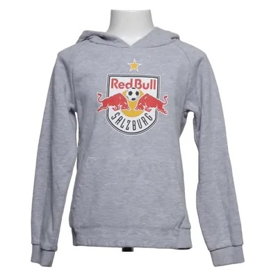 Capuchon sweater (Grijs) van Redbull Katoen, Polyester