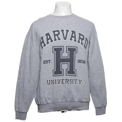 Sweatshirt (Grå) fra Rebel Bomuld, Viscose