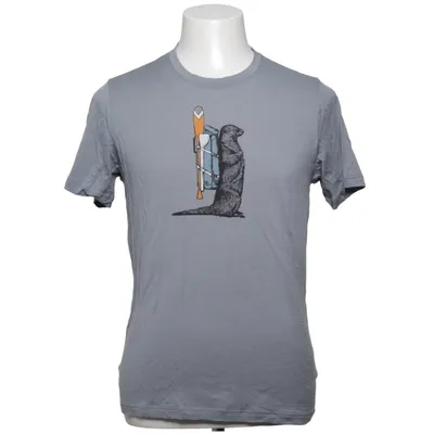 T-shirt (Gray) from Icebreaker Nylon, Wool