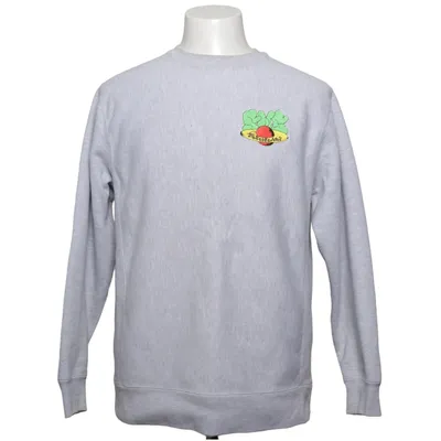 Sweatshirt (Gray) from SNS Cotton, Polyester