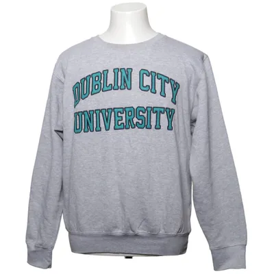 Collegetröja (Grå) från Official Merchandise Bomull, Polyester