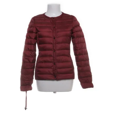 Jack (Rood) van Mango Basics