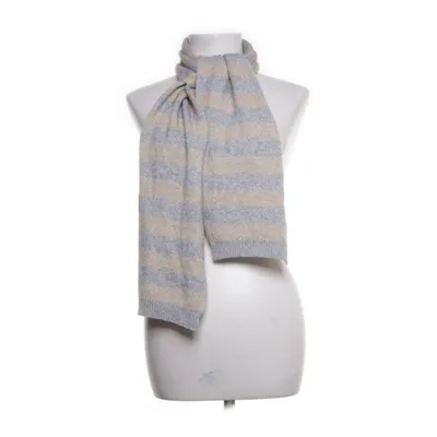 Scarf (Beige, Gray, Gold, Silver) from GANT