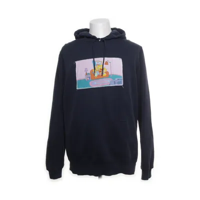 Hoodie (Blue, Multicolored) from BSTN Cotton, Polyester